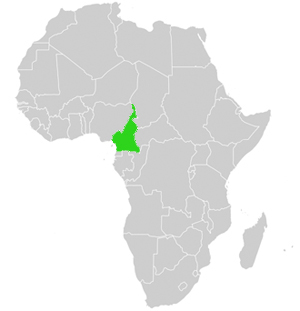 Lage Kamerun Afrika